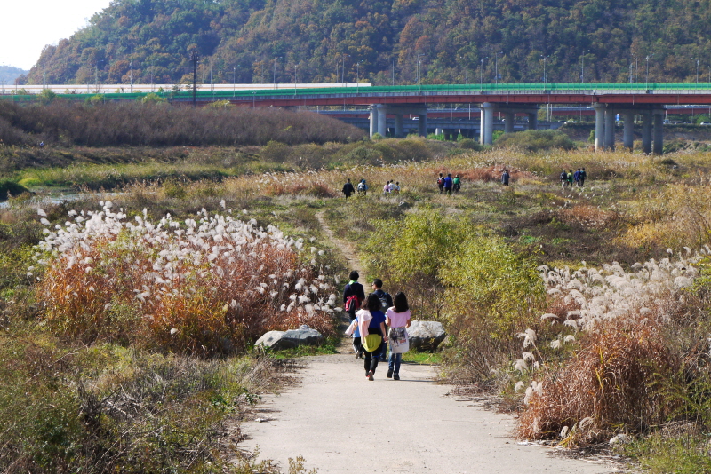 마을길 경행P1160983.JPG