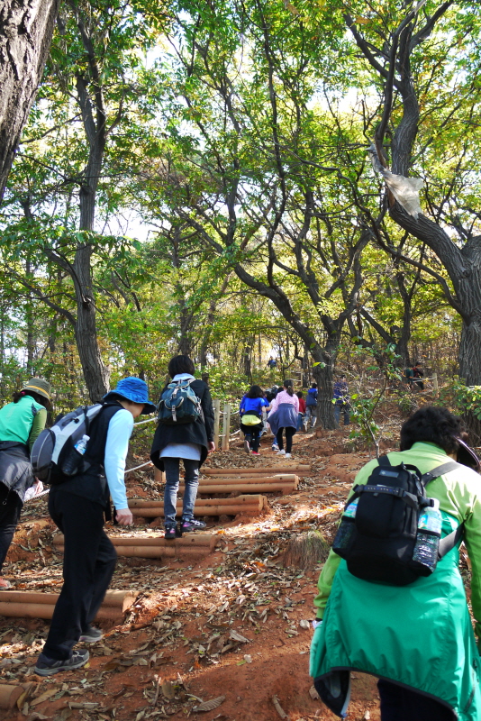 마을길 경행P1160916.JPG