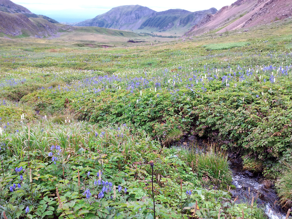 2012-08-25_11.38.26[1].jpg