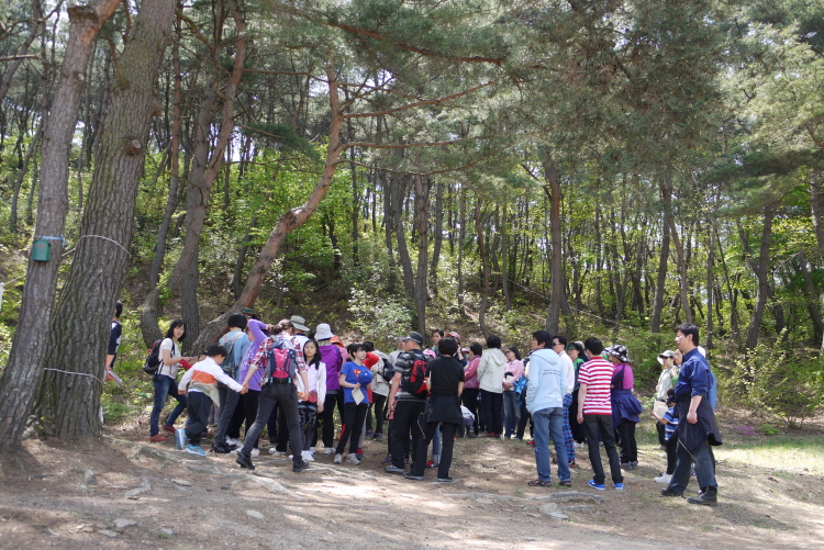 경주 남산P1180507.JPG