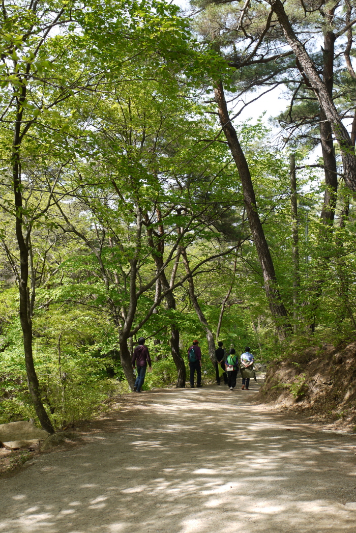 경주 남산P1180738.JPG