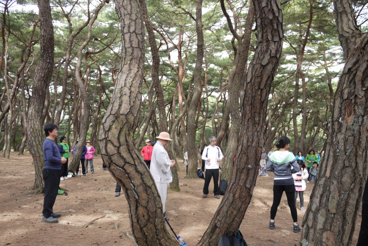 경주 남산 2P1190055.JPG