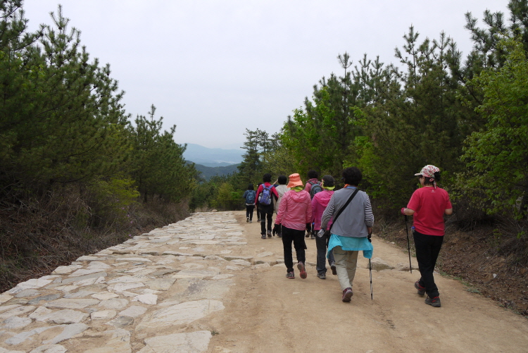 경주 남산 2P1190280.JPG